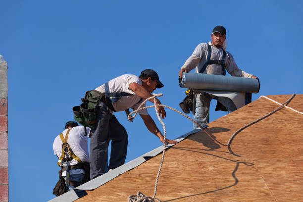Best Roof Restoration Services  in Rose Lodge, OR